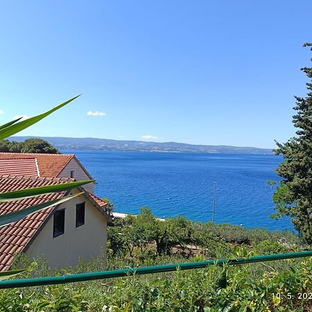 Leonica Apartment Omis Bagian luar foto