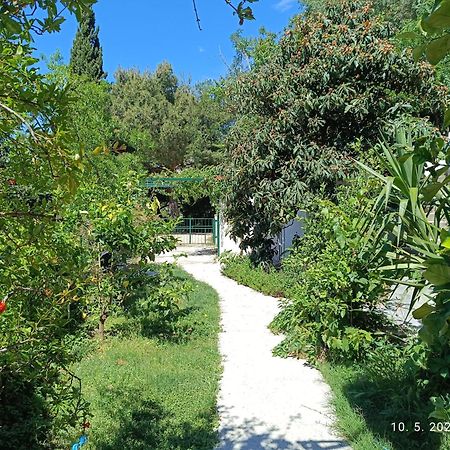 Leonica Apartment Omis Bagian luar foto