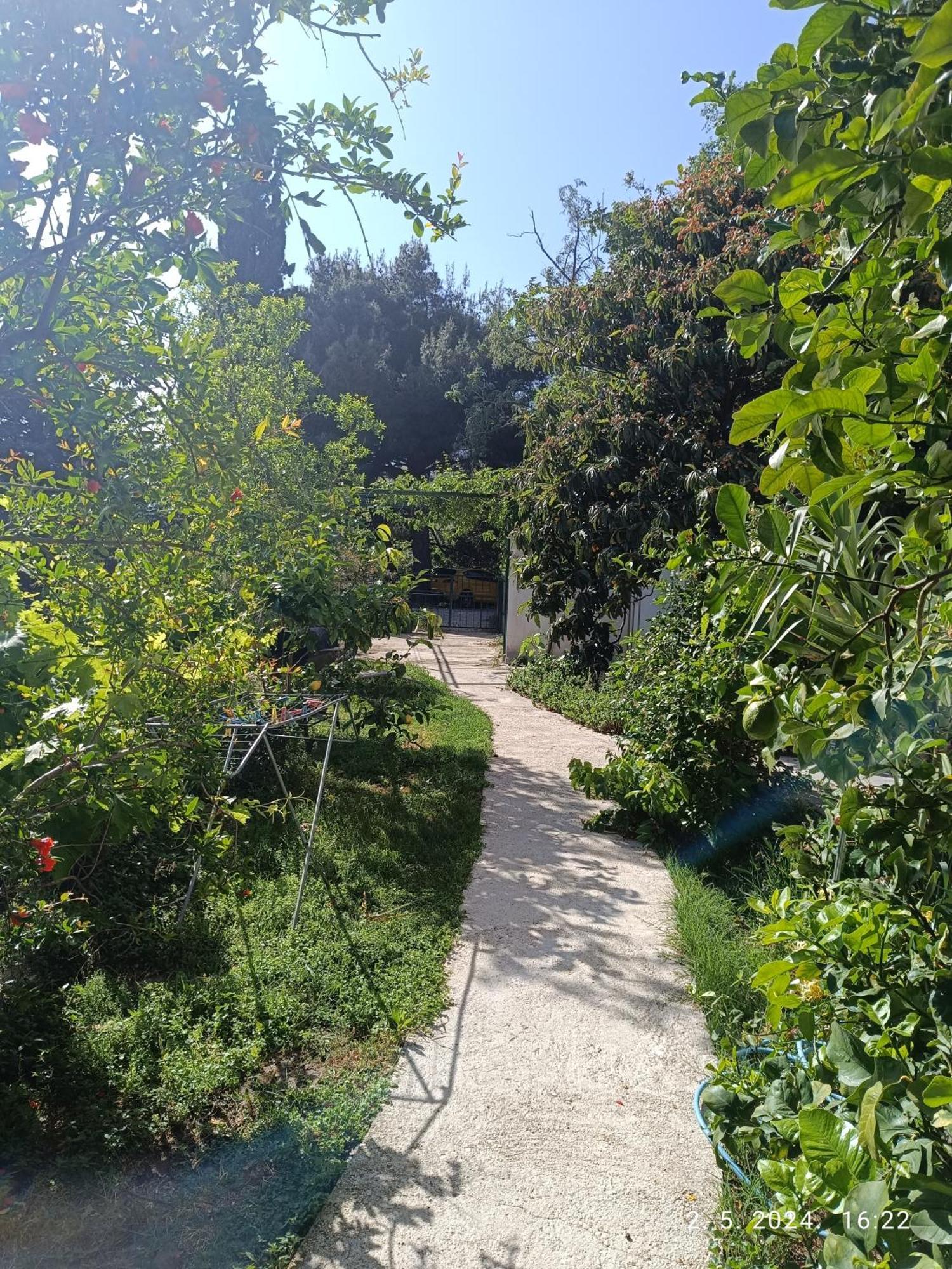 Leonica Apartment Omis Bagian luar foto