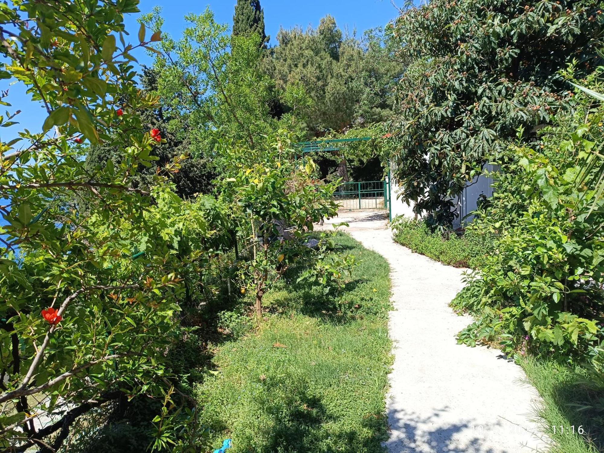 Leonica Apartment Omis Bagian luar foto