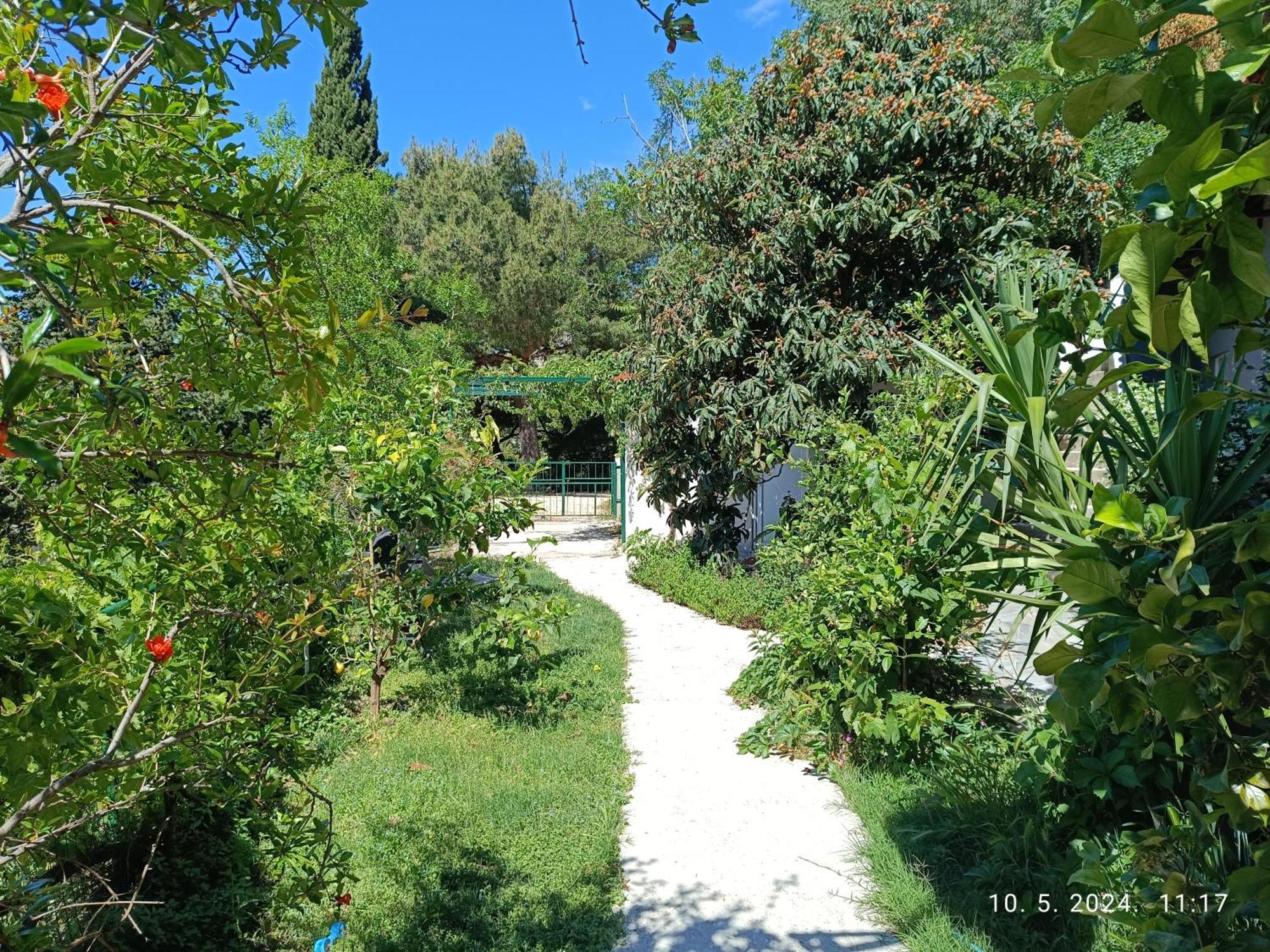 Leonica Apartment Omis Bagian luar foto