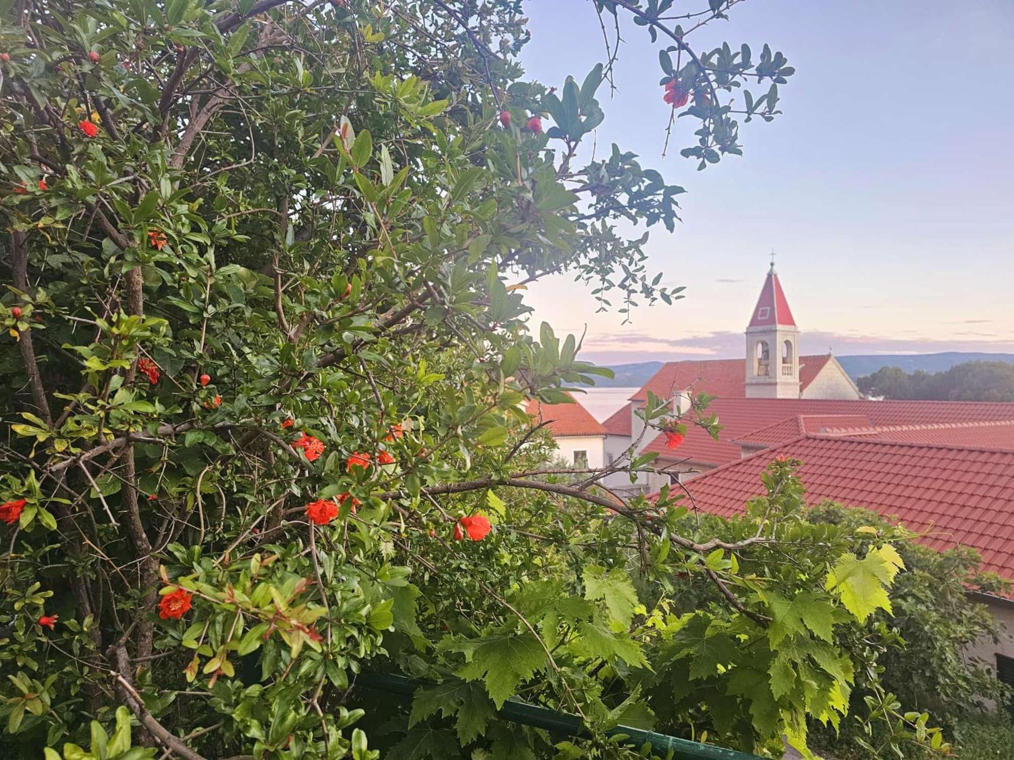 Leonica Apartment Omis Bagian luar foto